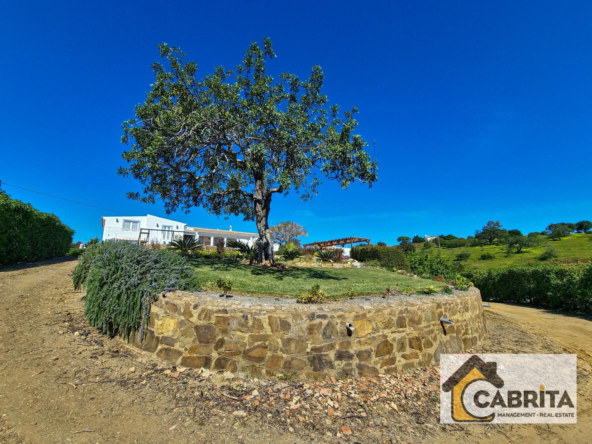Вілла Quinta Dos Medronheiros Алтура Екстер'єр фото
